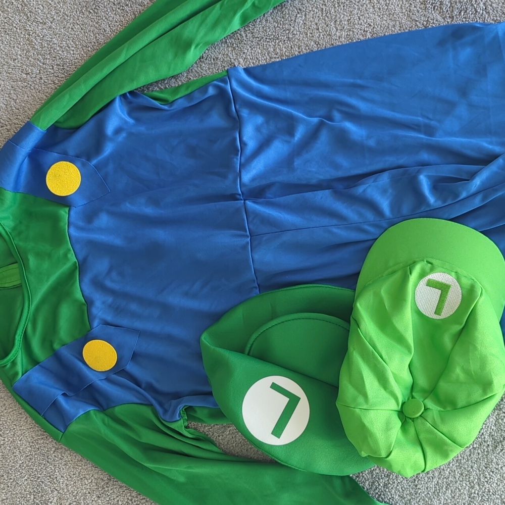 Adult Luigi costume